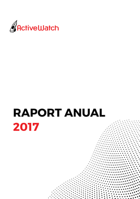 raport anual 2017